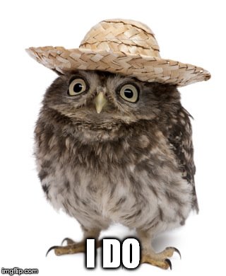sombrero owl | I DO | image tagged in sombrero owl | made w/ Imgflip meme maker