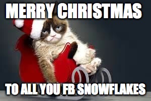 Grumpy Cat Christmas | MERRY CHRISTMAS TO ALL YOU FB SNOWFLAKES | image tagged in grumpy cat christmas | made w/ Imgflip meme maker