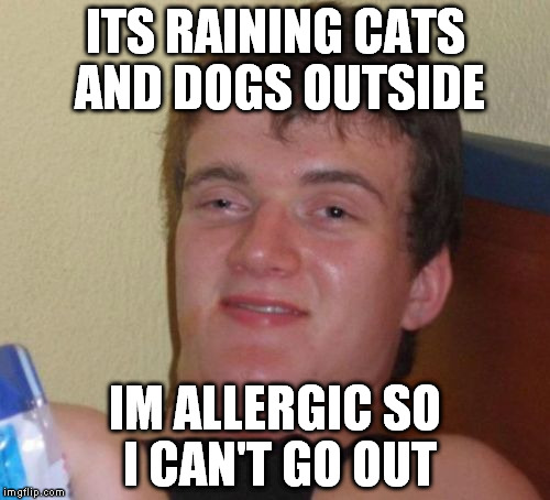 10 Guy Meme | ITS RAINING CATS AND DOGS OUTSIDE IM ALLERGIC SO I CAN'T GO OUT | image tagged in memes,10 guy | made w/ Imgflip meme maker