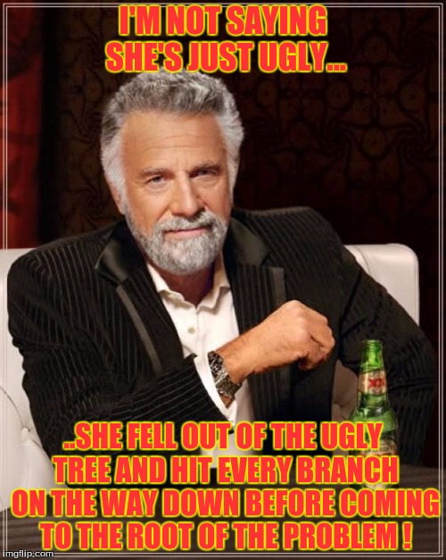 The Most Interesting Man In The World | I'M NOT SAYING SHE'S JUST UGLY... ..SHE FELL OUT OF THE UGLY TREE AND HIT EVERY BRANCH ON THE WAY DOWN BEFORE COMING TO THE ROOT OF THE PROB | image tagged in memes,the most interesting man in the world,ugly | made w/ Imgflip meme maker