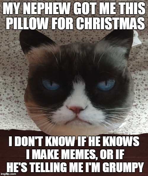 Grumpy Pillow | MY NEPHEW GOT ME THIS PILLOW FOR CHRISTMAS I DON'T KNOW IF HE KNOWS I MAKE MEMES, OR IF HE'S TELLING ME I'M GRUMPY | image tagged in grumpy cat,memes,christmas | made w/ Imgflip meme maker