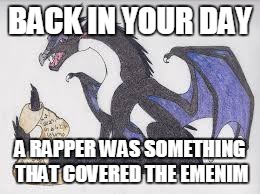 starflight's logic | BACK IN YOUR DAY A RAPPER WAS SOMETHING THAT COVERED THE EMENIM | image tagged in starflight's logic | made w/ Imgflip meme maker