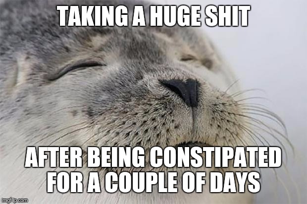 Satisfied Seal | TAKING A HUGE SHIT AFTER BEING CONSTIPATED FOR A COUPLE OF DAYS | image tagged in memes,satisfied seal | made w/ Imgflip meme maker