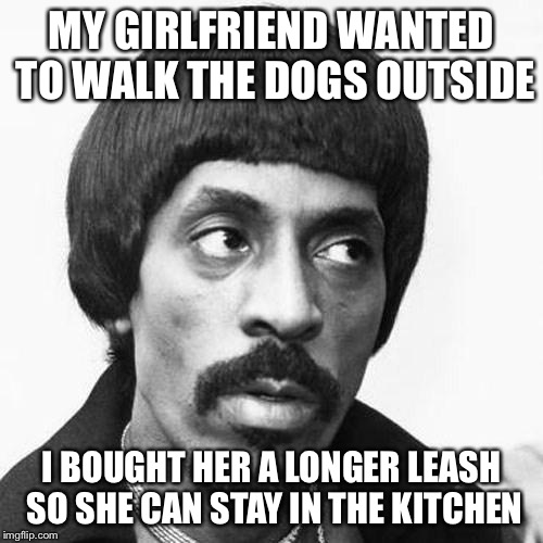 ike turner | MY GIRLFRIEND WANTED TO WALK THE DOGS OUTSIDE I BOUGHT HER A LONGER LEASH SO SHE CAN STAY IN THE KITCHEN | image tagged in ike turner | made w/ Imgflip meme maker