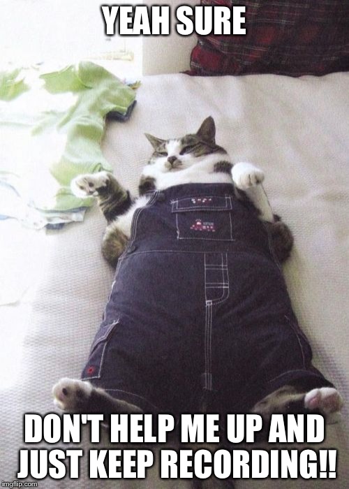 Fat Cat Meme | YEAH SURE DON'T HELP ME UP AND JUST KEEP RECORDING!! | image tagged in memes,fat cat | made w/ Imgflip meme maker