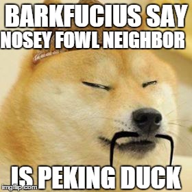 I hate nosey neighbors! | BARKFUCIUS SAY NOSEY FOWL NEIGHBOR IS PEKING DUCK | image tagged in asian doge,memes,barkfucius,barkfucious,funny dogs | made w/ Imgflip meme maker