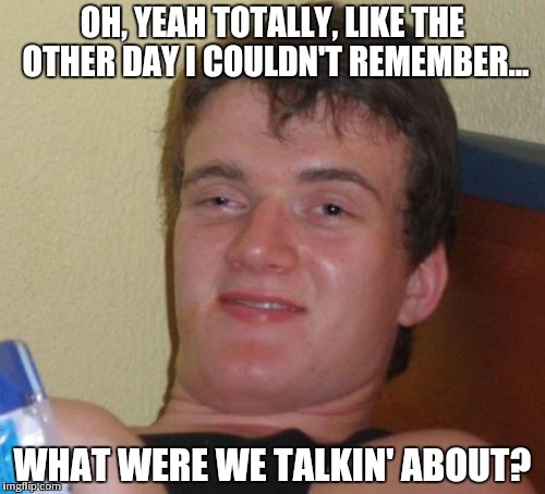 10 Guy Meme | OH, YEAH TOTALLY, LIKE THE OTHER DAY I COULDN'T REMEMBER... WHAT WERE WE TALKIN' ABOUT? | image tagged in memes,10 guy | made w/ Imgflip meme maker