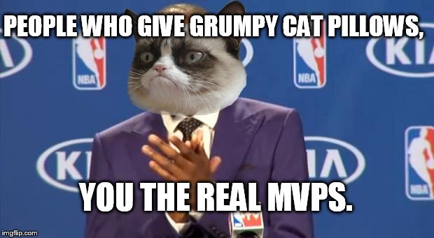 You The Real MVP Meme | PEOPLE WHO GIVE GRUMPY CAT PILLOWS, YOU THE REAL MVPS. | image tagged in memes,you the real mvp | made w/ Imgflip meme maker