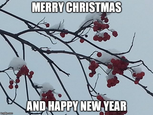 MERRY CHRISTMAS AND HAPPY NEW YEAR | image tagged in christmas | made w/ Imgflip meme maker