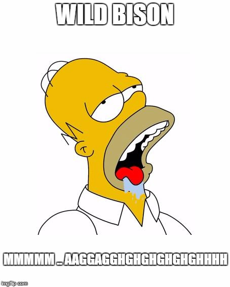 Homer Simpson Drooling | WILD BISON MMMMM .. AAGGAGGHGHGHGHGHGHHHH | image tagged in homer simpson drooling | made w/ Imgflip meme maker