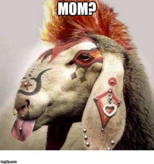 MOM? | made w/ Imgflip meme maker