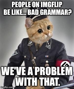 Grammar Nazi Cat | PEOPLE ON IMGFLIP BE LIKE... BAD GRAMMAR? WE'VE A PROBLEM WITH THAT. | image tagged in grammar nazi cat | made w/ Imgflip meme maker