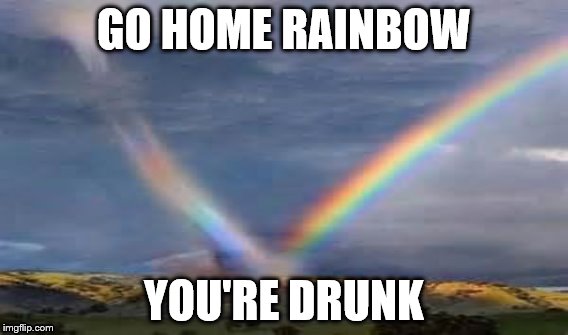 GO HOME RAINBOW YOU'RE DRUNK | image tagged in memes | made w/ Imgflip meme maker