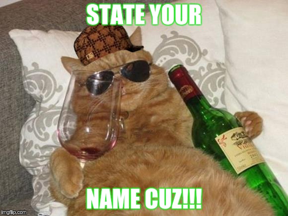 Funny Cat Birthday | STATE YOUR NAME CUZ!!! | image tagged in funny cat birthday,scumbag | made w/ Imgflip meme maker