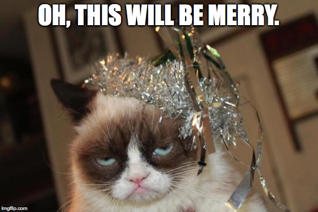 Grumpy Cat New Years | OH, THIS WILL BE MERRY. | image tagged in grumpy cat new years | made w/ Imgflip meme maker