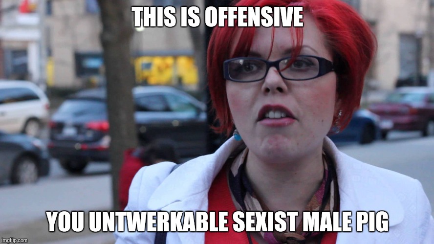 THIS IS OFFENSIVE YOU UNTWERKABLE SEXIST MALE PIG | image tagged in feminazi | made w/ Imgflip meme maker
