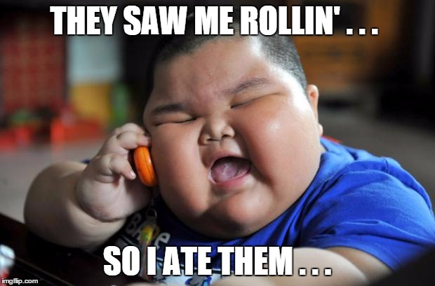 fat kid | THEY SAW ME ROLLIN' . . . SO I ATE THEM . . . | image tagged in fat kid | made w/ Imgflip meme maker