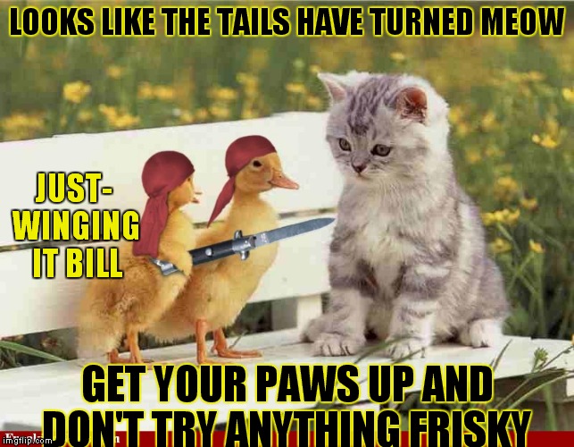 Kitty get your gun! | LOOKS LIKE THE TAILS HAVE TURNED MEOW GET YOUR PAWS UP AND DON'T TRY ANYTHING FRISKY JUST- WINGING IT BILL | image tagged in kitten,duckling,puns,funny | made w/ Imgflip meme maker
