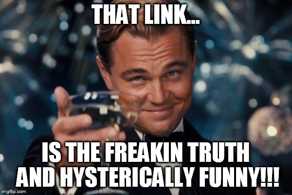 Leonardo Dicaprio Cheers Meme | THAT LINK... IS THE FREAKIN TRUTH AND HYSTERICALLY FUNNY!!! | image tagged in memes,leonardo dicaprio cheers | made w/ Imgflip meme maker