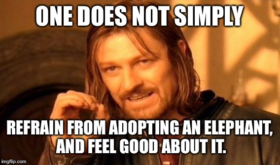 Ima end up with a plush elephant. | ONE DOES NOT SIMPLY REFRAIN FROM ADOPTING AN ELEPHANT, AND FEEL GOOD ABOUT IT. | image tagged in memes,one does not simply | made w/ Imgflip meme maker