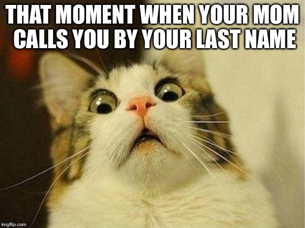 Scared Cat | THAT MOMENT WHEN YOUR MOM CALLS YOU BY YOUR LAST NAME | image tagged in memes,scared cat | made w/ Imgflip meme maker