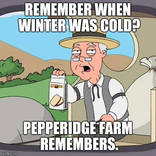 Pepperidge Farm Remembers | REMEMBER WHEN WINTER WAS COLD? PEPPERIDGE FARM REMEMBERS. | image tagged in memes,pepperidge farm remembers | made w/ Imgflip meme maker