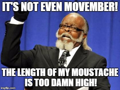 Too Damn High Meme | IT'S NOT EVEN MOVEMBER! THE LENGTH OF MY MOUSTACHE IS TOO DAMN HIGH! | image tagged in memes,too damn high | made w/ Imgflip meme maker