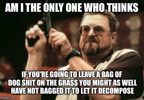 Am I The Only One Around Here | AM I THE ONLY ONE WHO THINKS IF YOU'RE GOING TO LEAVE A BAG OF DOG SHIT ON THE GRASS YOU MIGHT AS WELL HAVE NOT BAGGED IT TO LET IT DECOMPOS | image tagged in memes,am i the only one around here,AdviceAnimals | made w/ Imgflip meme maker