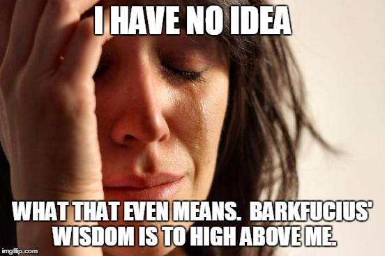 First World Problems Meme | I HAVE NO IDEA WHAT THAT EVEN MEANS.  BARKFUCIUS' WISDOM IS TO HIGH ABOVE ME. | image tagged in memes,first world problems | made w/ Imgflip meme maker