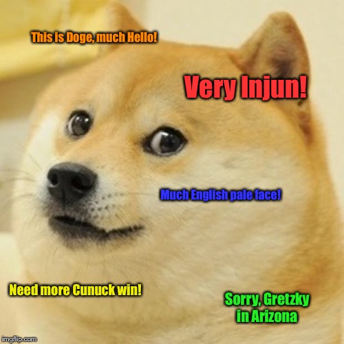 Doge Meme | This is Doge, much Hello! Very Injun! Much English pale face! Need more Cunuck win! Sorry, Gretzky in Arizona | image tagged in memes,doge | made w/ Imgflip meme maker