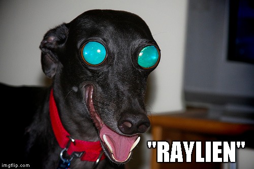 "RAYLIEN" | made w/ Imgflip meme maker