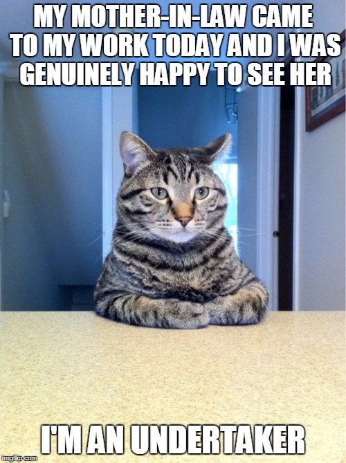 Take A Seat Cat | MY MOTHER-IN-LAW CAME TO MY WORK TODAY AND I WAS GENUINELY HAPPY TO SEE HER I'M AN UNDERTAKER | image tagged in memes,take a seat cat | made w/ Imgflip meme maker