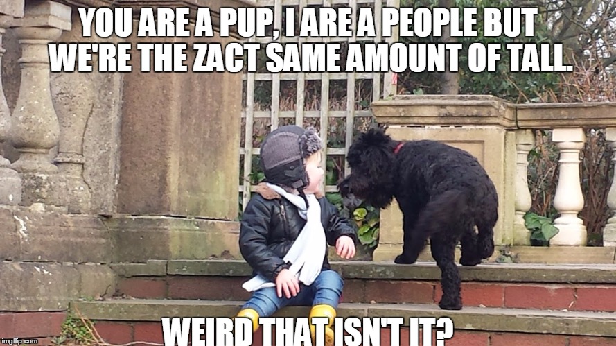 Kid with pup. | YOU ARE A PUP, I ARE A PEOPLE BUT WE'RE THE ZACT SAME AMOUNT OF TALL. WEIRD THAT ISN'T IT? | image tagged in dogs,kids | made w/ Imgflip meme maker