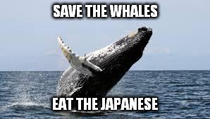 save the whales | SAVE THE WHALES EAT THE JAPANESE | image tagged in whale | made w/ Imgflip meme maker