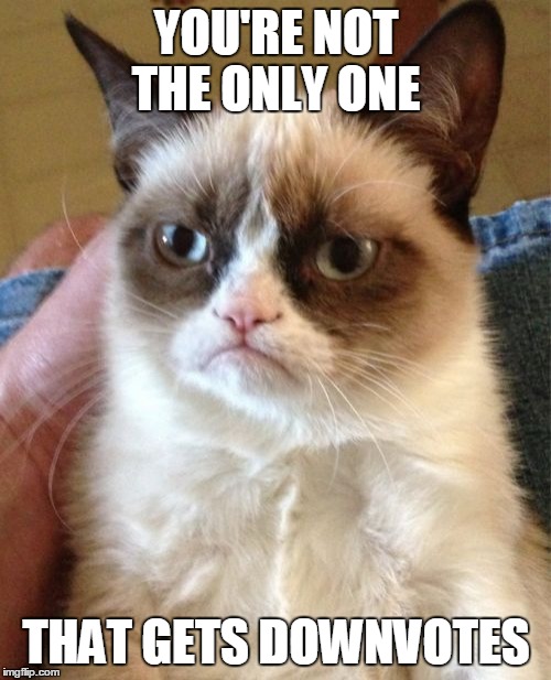 Grumpy Cat Meme | YOU'RE NOT THE ONLY ONE THAT GETS DOWNVOTES | image tagged in memes,grumpy cat | made w/ Imgflip meme maker