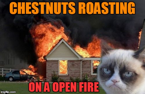 Burn Kitty Meme | CHESTNUTS ROASTING ON A OPEN FIRE | image tagged in memes,burn kitty | made w/ Imgflip meme maker