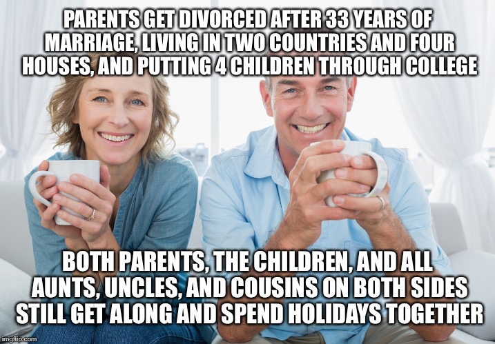 nparents | PARENTS GET DIVORCED AFTER 33 YEARS OF MARRIAGE, LIVING IN TWO COUNTRIES AND FOUR HOUSES, AND PUTTING 4 CHILDREN THROUGH COLLEGE BOTH PARENT | image tagged in nparents,AdviceAnimals | made w/ Imgflip meme maker