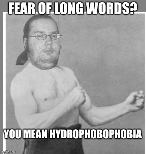 Overly nerdy nerd | FEAR OF LONG WORDS? YOU MEAN HYDROPHOBOPHOBIA | image tagged in overly nerdy nerd | made w/ Imgflip meme maker
