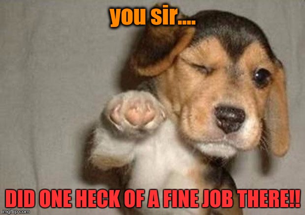 Pointing puppy | you sir.... DID ONE HECK OF A FINE JOB THERE!! | image tagged in pointing puppy | made w/ Imgflip meme maker