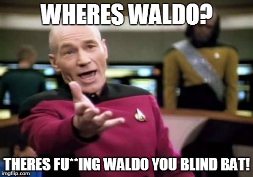 Picard Wtf | WHERES WALDO? THERES FU**ING WALDO YOU BLIND BAT! | image tagged in memes,picard wtf | made w/ Imgflip meme maker