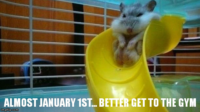 Almost January 1st...better get to the gym | ALMOST JANUARY 1ST... BETTER GET TO THE GYM | image tagged in diet,resolution,new year | made w/ Imgflip meme maker