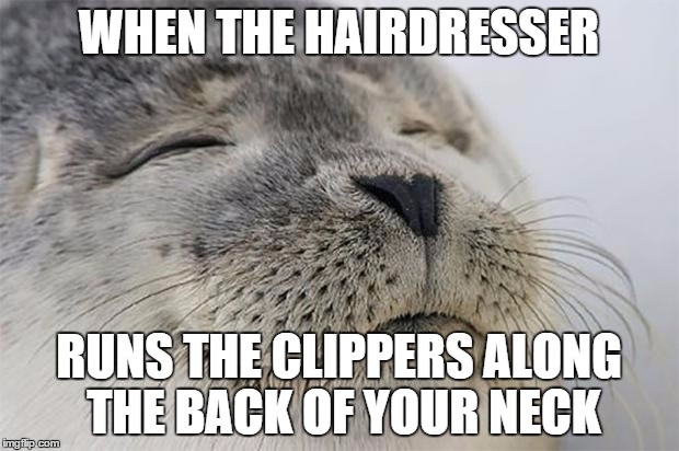 Satisfied Seal Meme | WHEN THE HAIRDRESSER RUNS THE CLIPPERS ALONG THE BACK OF YOUR NECK | image tagged in memes,satisfied seal,AdviceAnimals | made w/ Imgflip meme maker