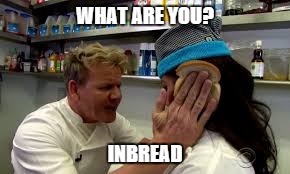 Chef Gordon Ramsay Meme - Imgflip