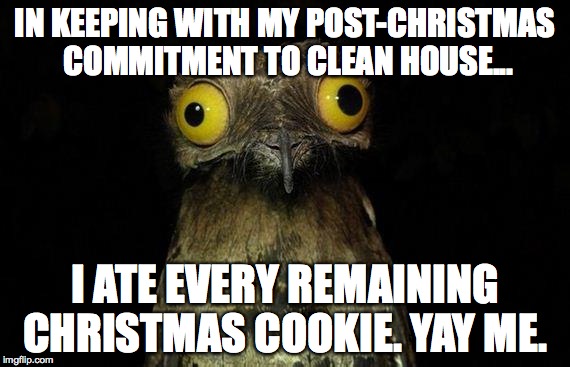 Weird Stuff I Do Potoo Meme | IN KEEPING WITH MY POST-CHRISTMAS COMMITMENT TO CLEAN HOUSE... I ATE EVERY REMAINING CHRISTMAS COOKIE. YAY ME. | image tagged in memes,weird stuff i do potoo | made w/ Imgflip meme maker