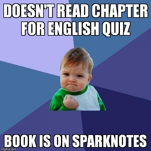 Success Kid | image tagged in memes,success kid | made w/ Imgflip meme maker