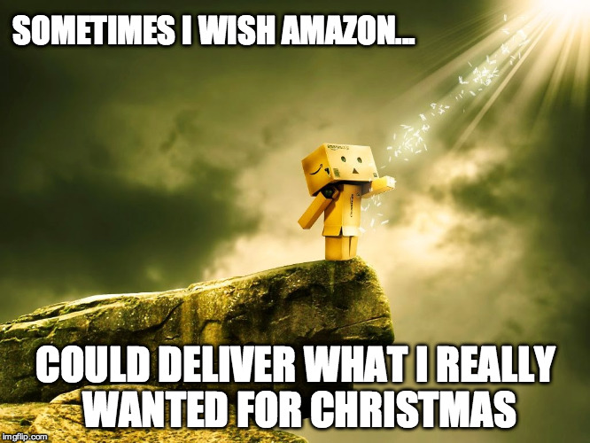 for the dearly departed | SOMETIMES I WISH AMAZON... COULD DELIVER WHAT I REALLY WANTED FOR CHRISTMAS | image tagged in death,heaven,missing,reflection | made w/ Imgflip meme maker