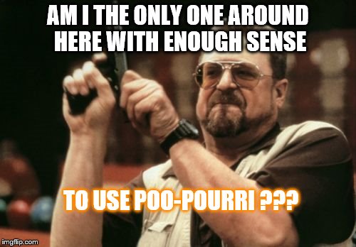 Am I The Only One Around Here | AM I THE ONLY ONE AROUND HERE WITH ENOUGH SENSE TO USE POO-POURRI ??? | image tagged in memes,am i the only one around here | made w/ Imgflip meme maker