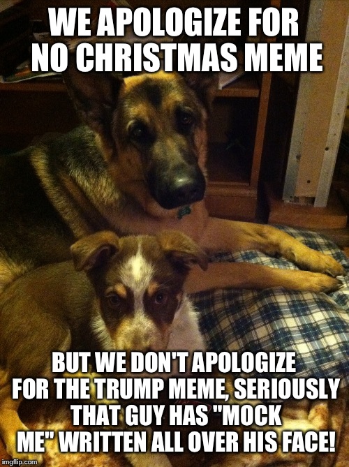 WE APOLOGIZE FOR NO CHRISTMAS MEME BUT WE DON'T APOLOGIZE FOR THE TRUMP MEME, SERIOUSLY THAT GUY HAS "MOCK ME" WRITTEN ALL OVER HIS FACE! | image tagged in the late lol dog christmas meme,lol dog,the cow guy | made w/ Imgflip meme maker