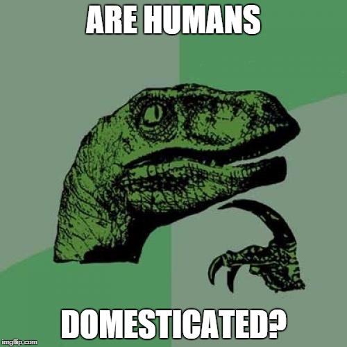 Philosoraptor Meme | ARE HUMANS DOMESTICATED? | image tagged in memes,philosoraptor | made w/ Imgflip meme maker