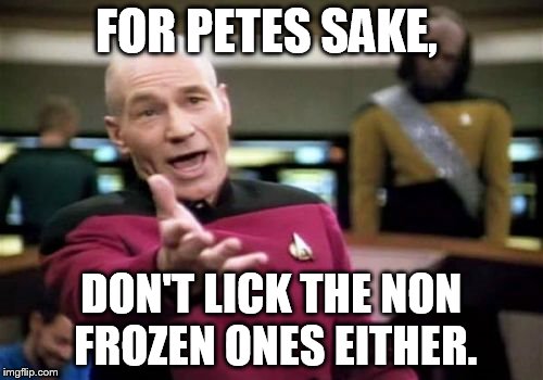 Picard Wtf Meme | FOR PETES SAKE, DON'T LICK THE NON FROZEN ONES EITHER. | image tagged in memes,picard wtf | made w/ Imgflip meme maker